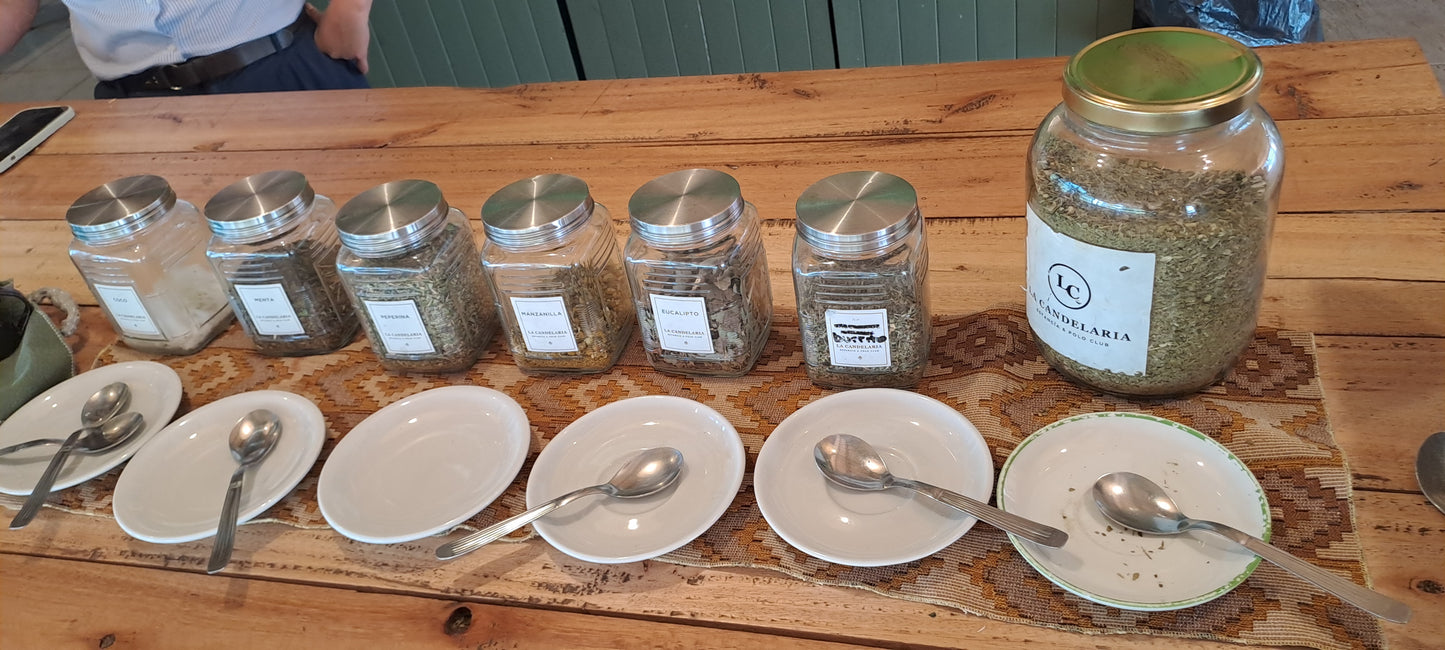 Discover Mate Workshop: Experience South American Tradition on Lake Como's Shores
